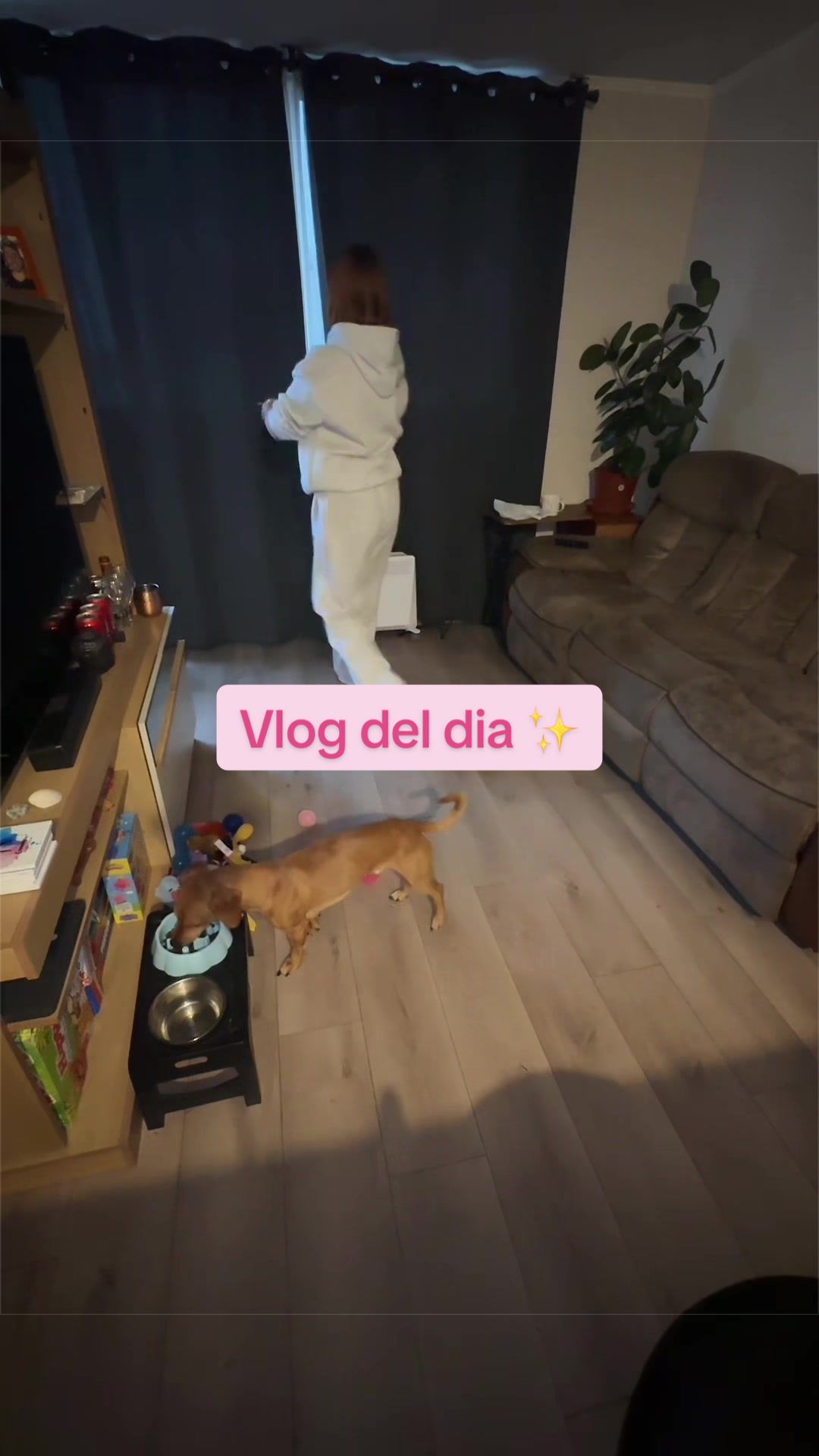 @Aquisoyfran