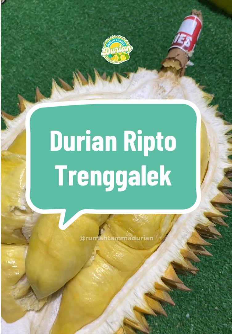 @Rumah Tamma Durian