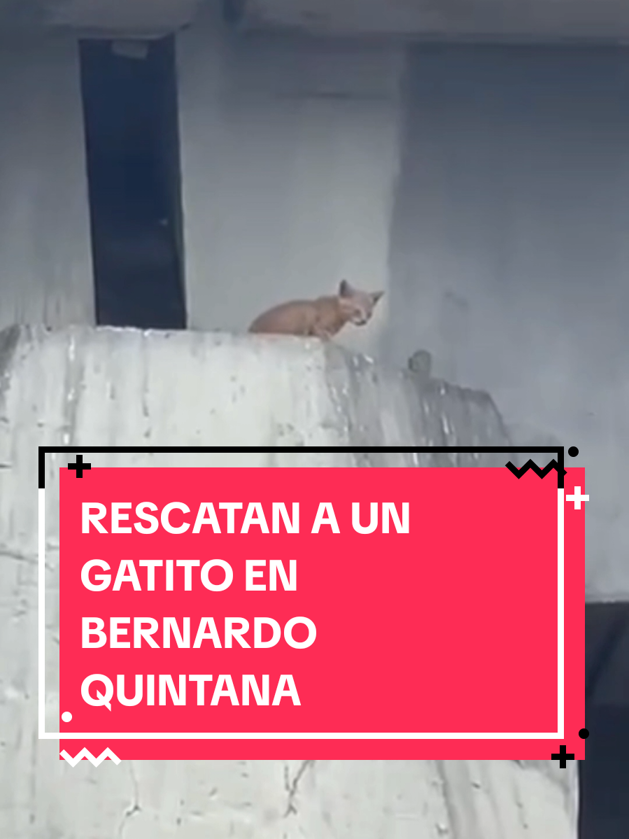 @informequeretano