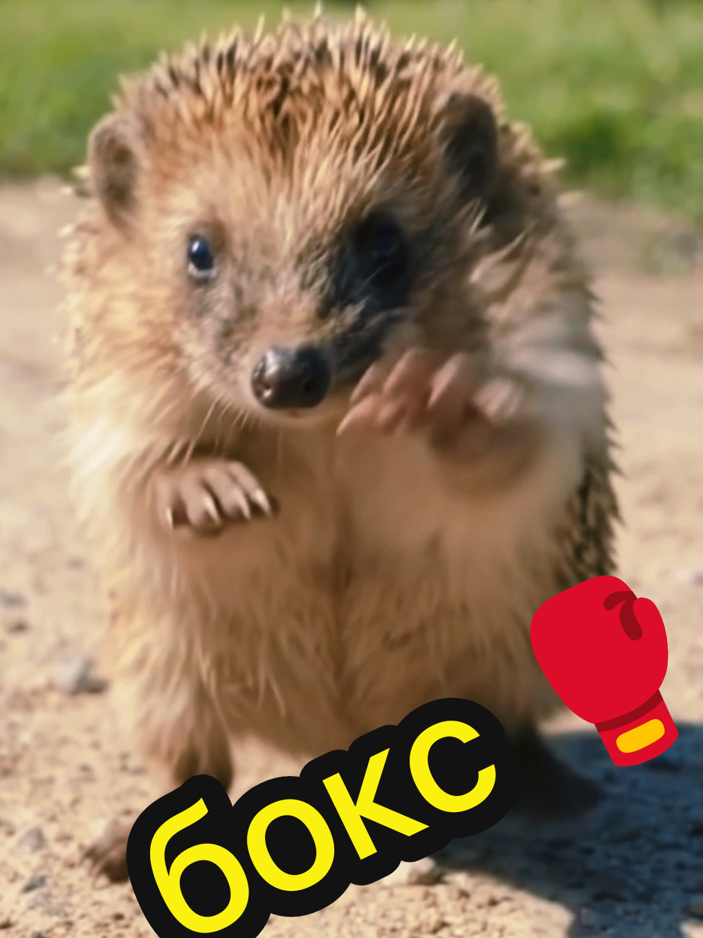 @Katerinka