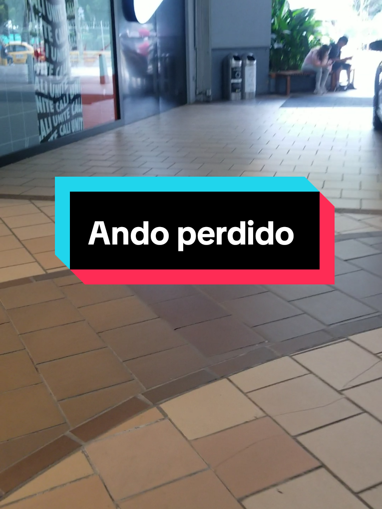 @Capitán Temu ✈