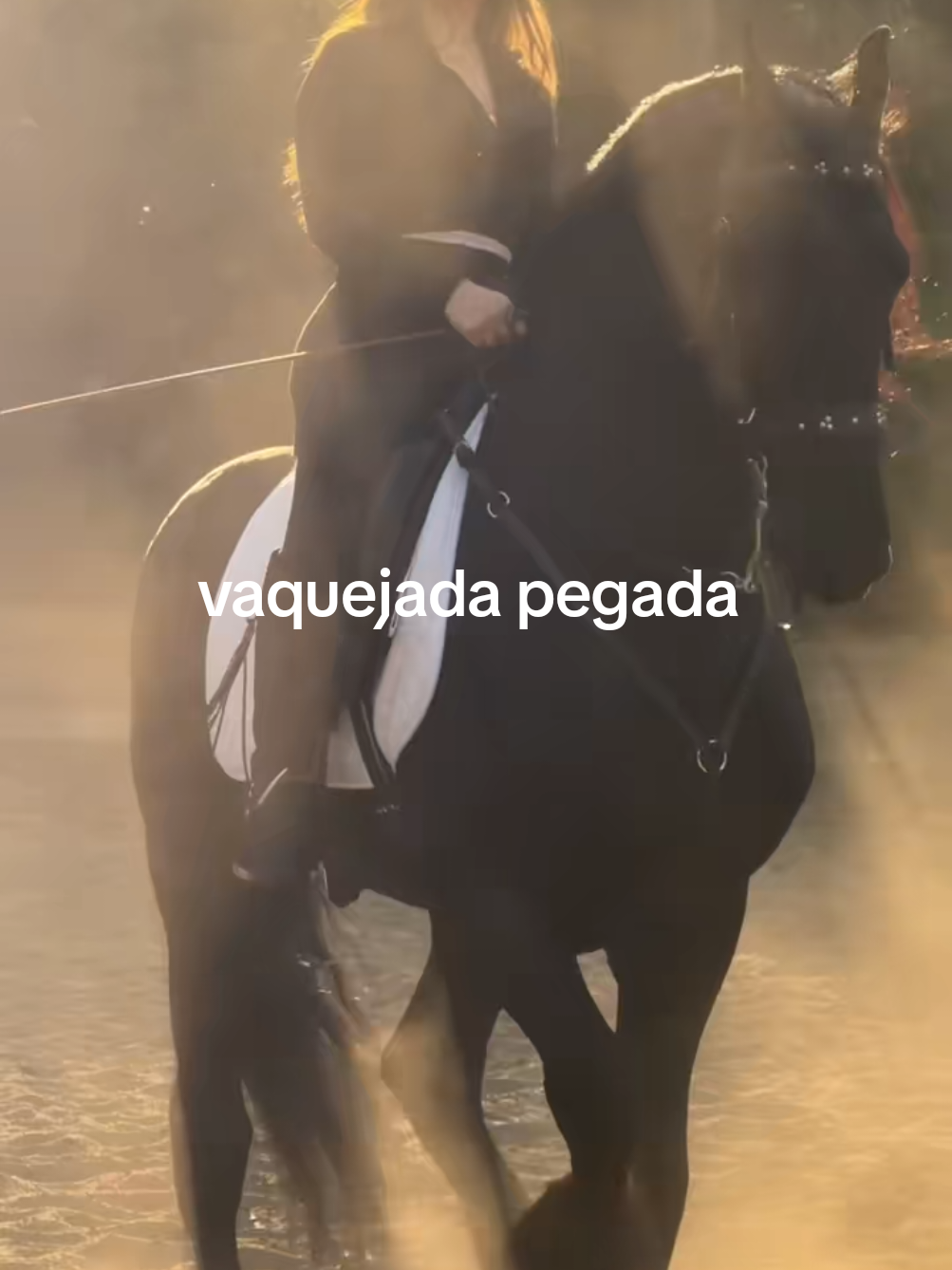 @vaquejada pegada