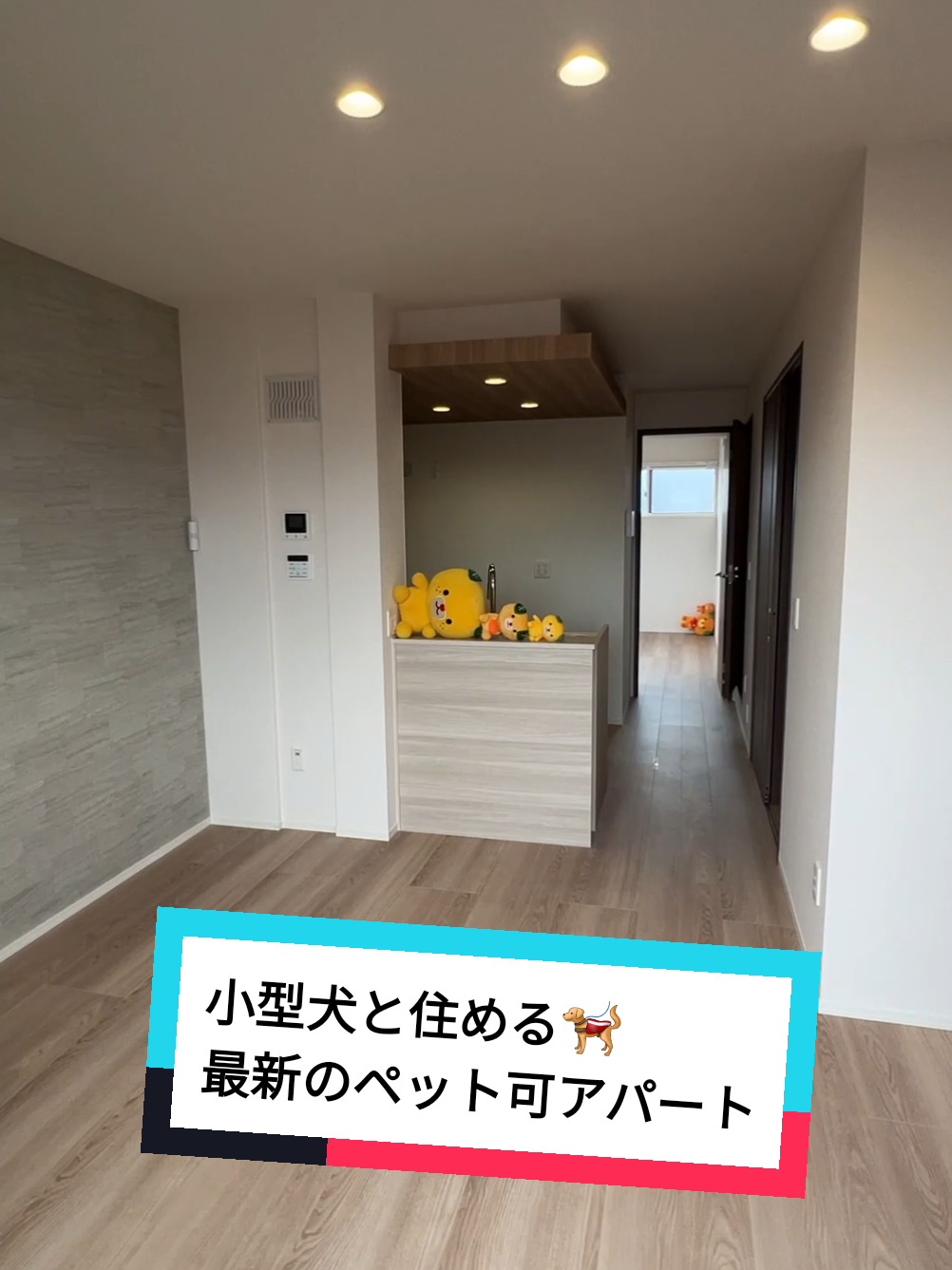 @賃貸ルームツアー♪松山市と今治市みかん不動産
