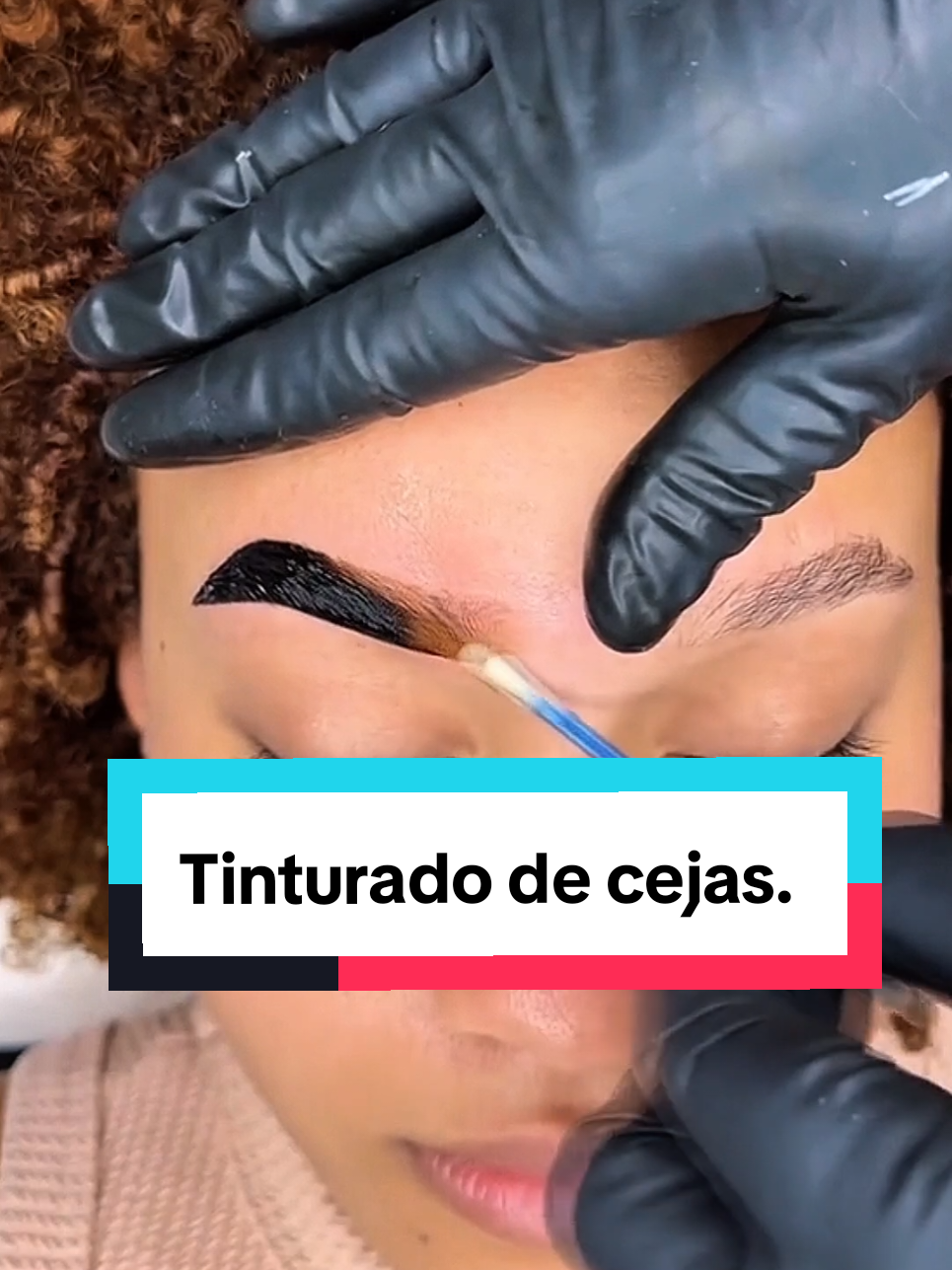 @CEJAS.EXPERT