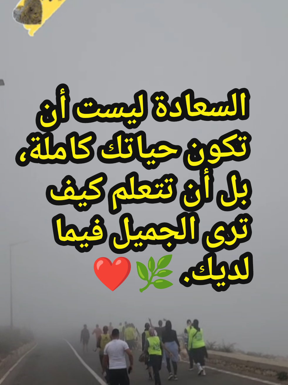 @coach Houcine Agadir