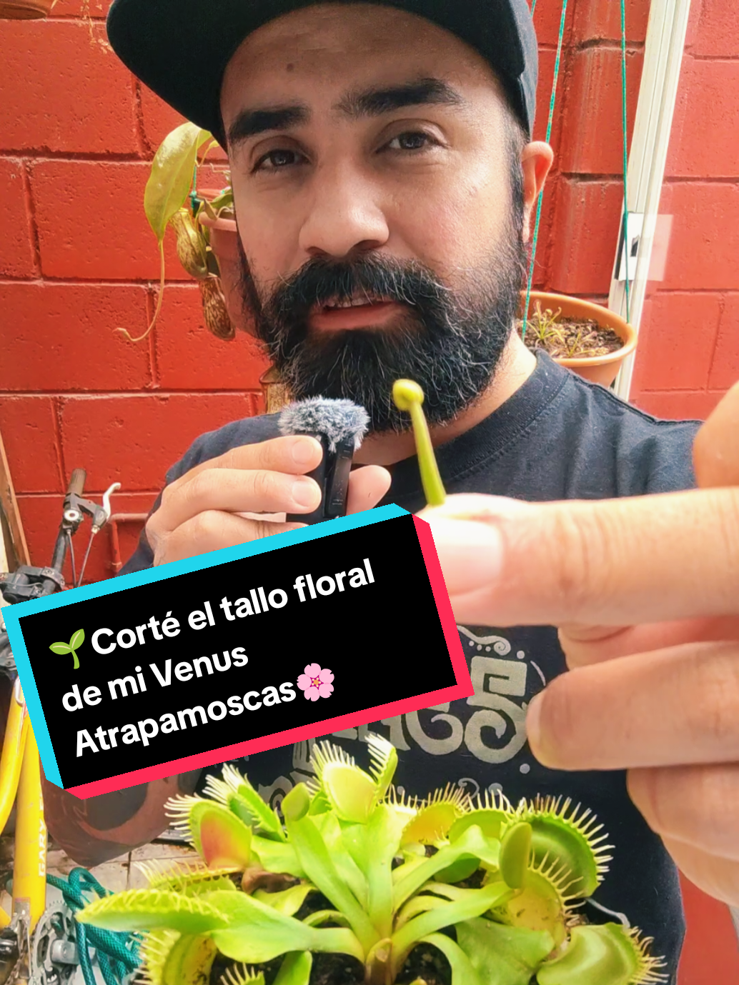 @Tortubalance