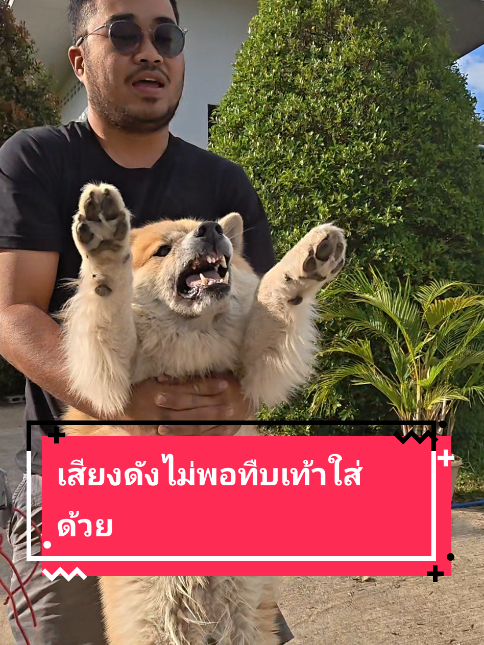 @หลิวหลิว แม่พี่ธอร์