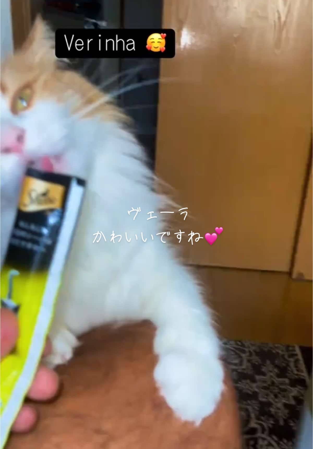 @Claudinei サントス