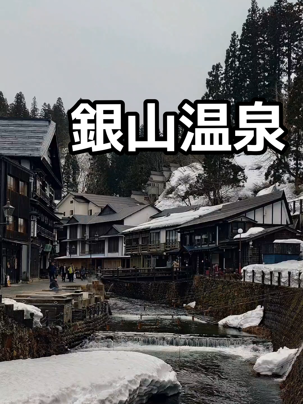 @福ぽん【鉄道系TikToker】
