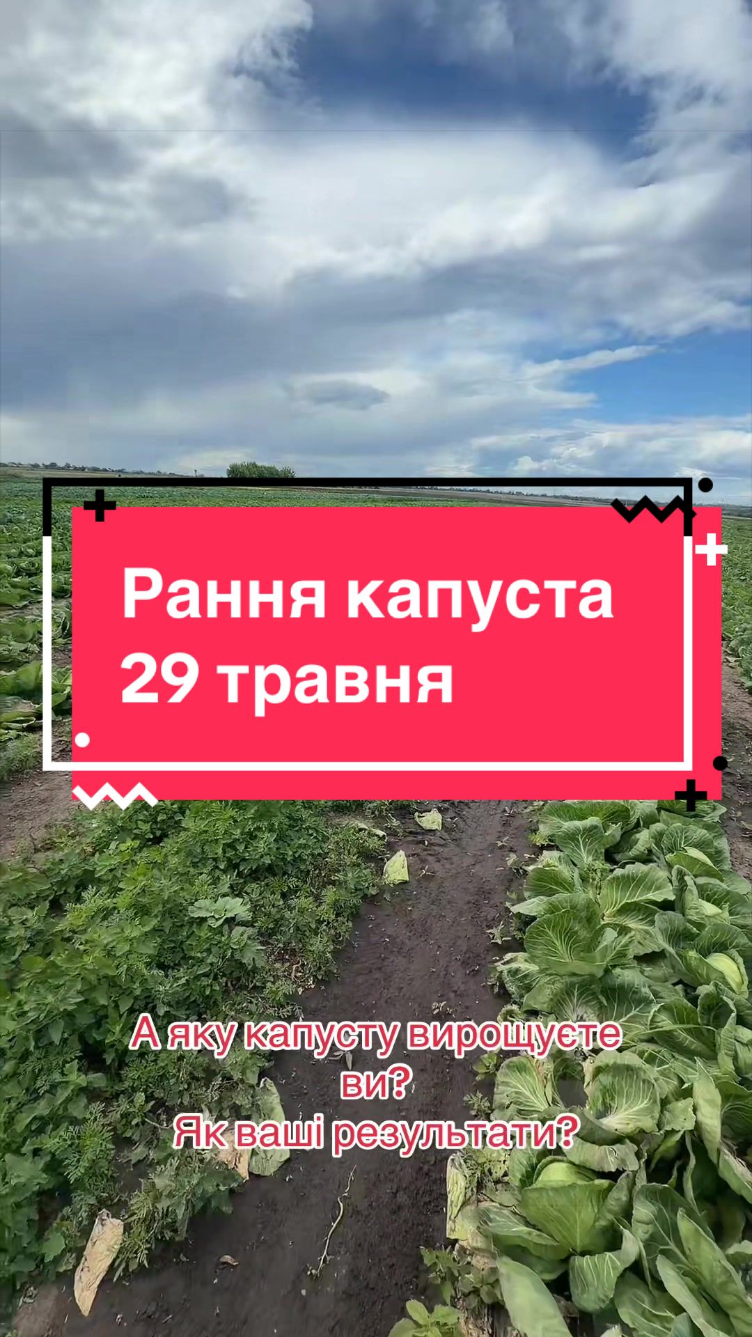 @Золотий Гектар|Насіння,Добрива
