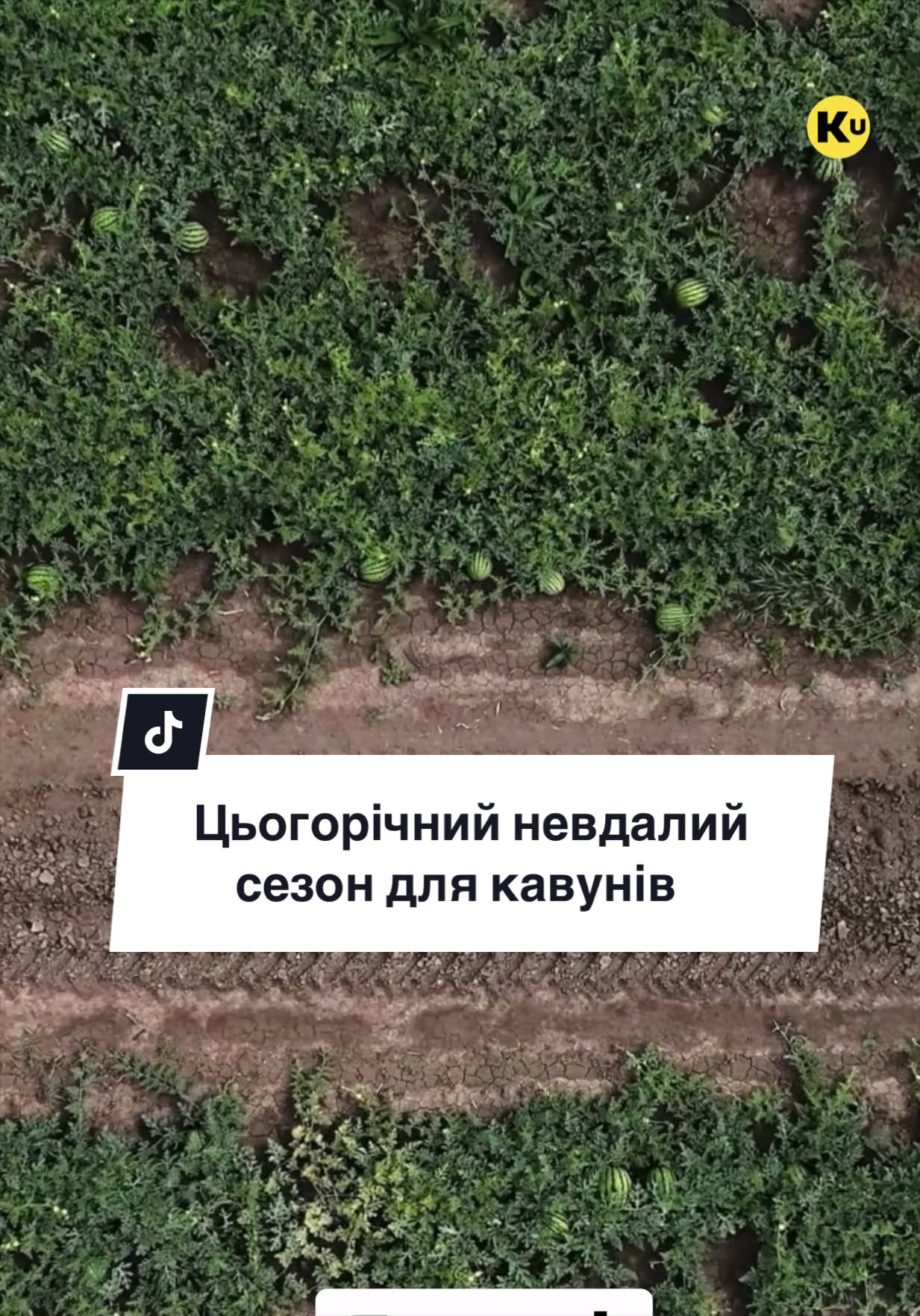@Ku 🟨🟩 Lati – Agro Ukraine