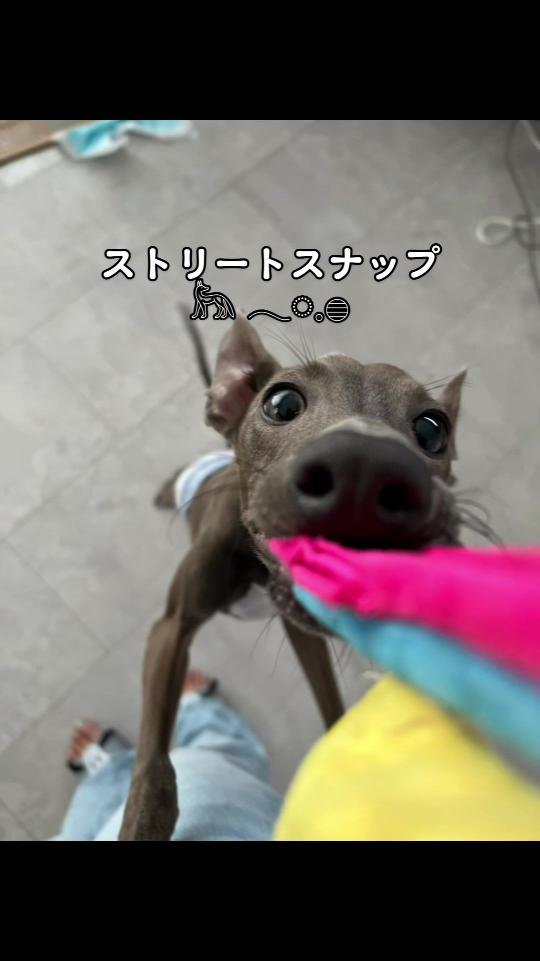 @yu.