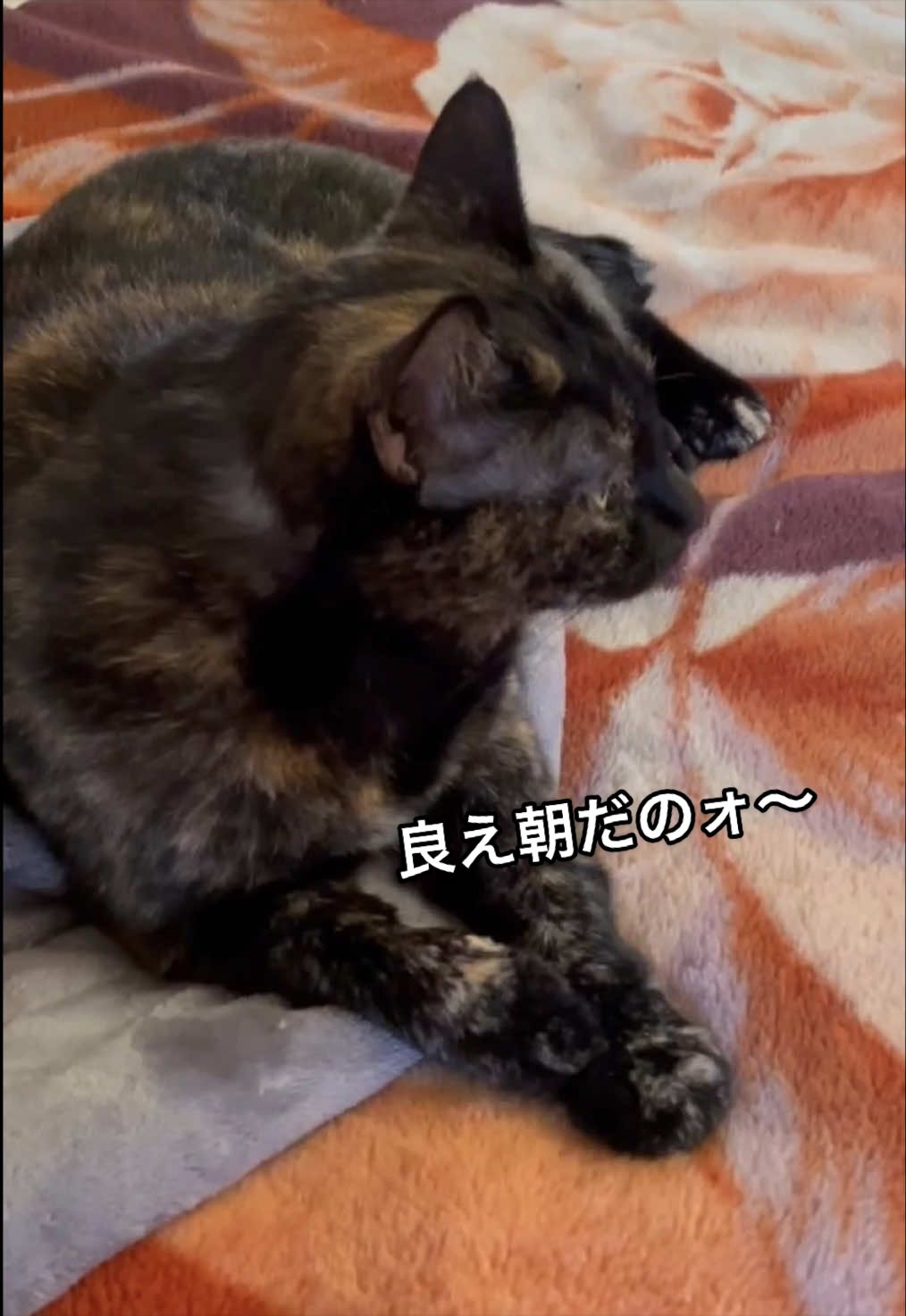 @聴々物語PROJECT