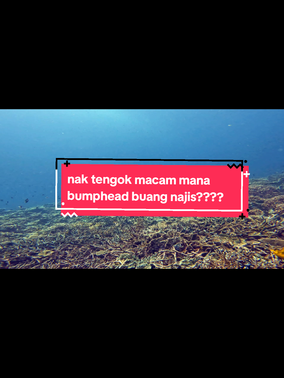 @Syura Abdullah