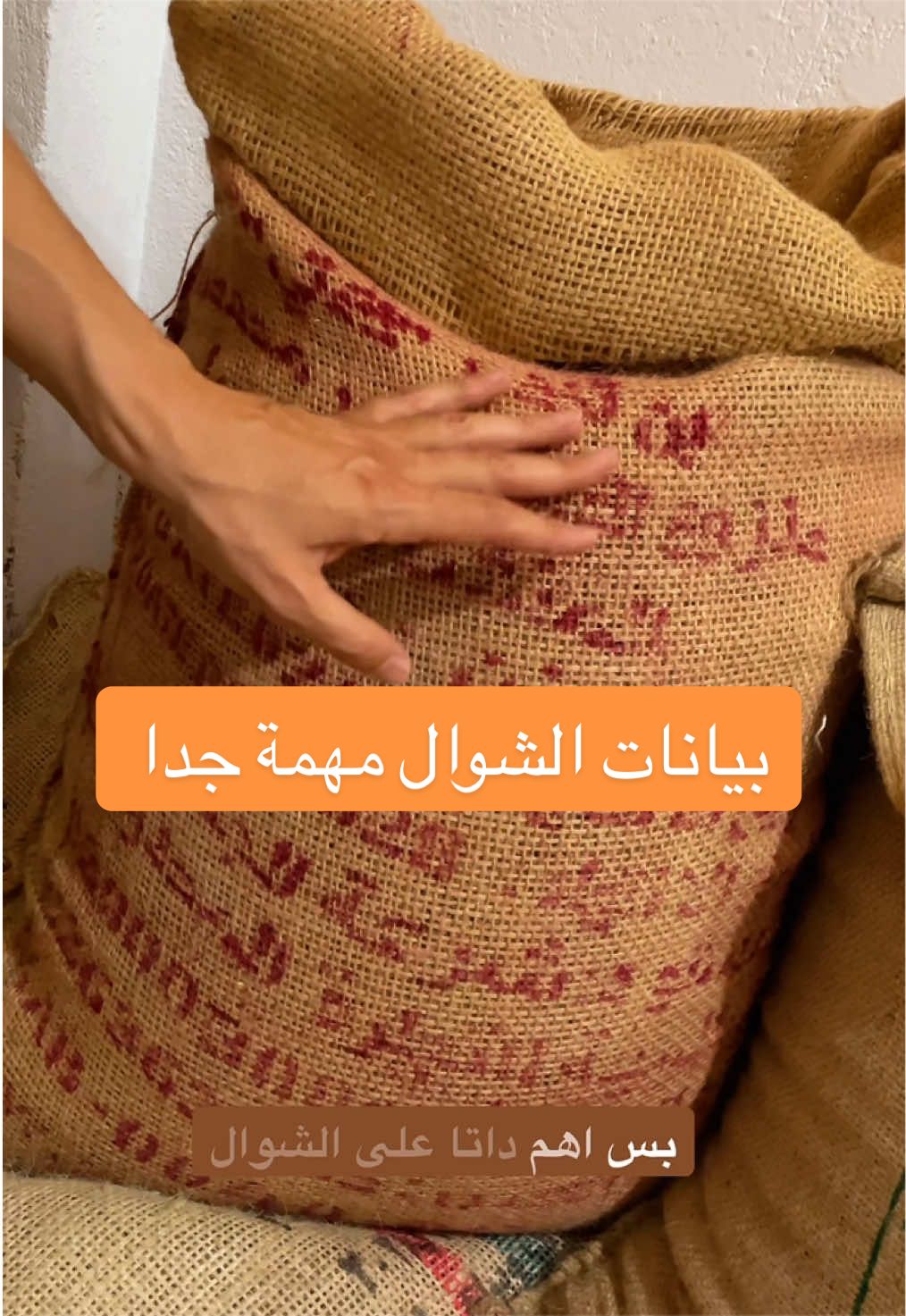 @بن الملوك | سومطرة
