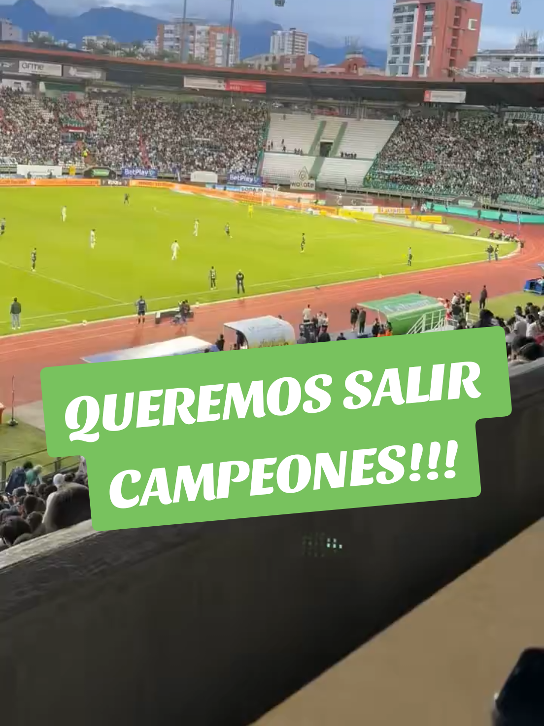 @NOTICIAS DEL VERDE