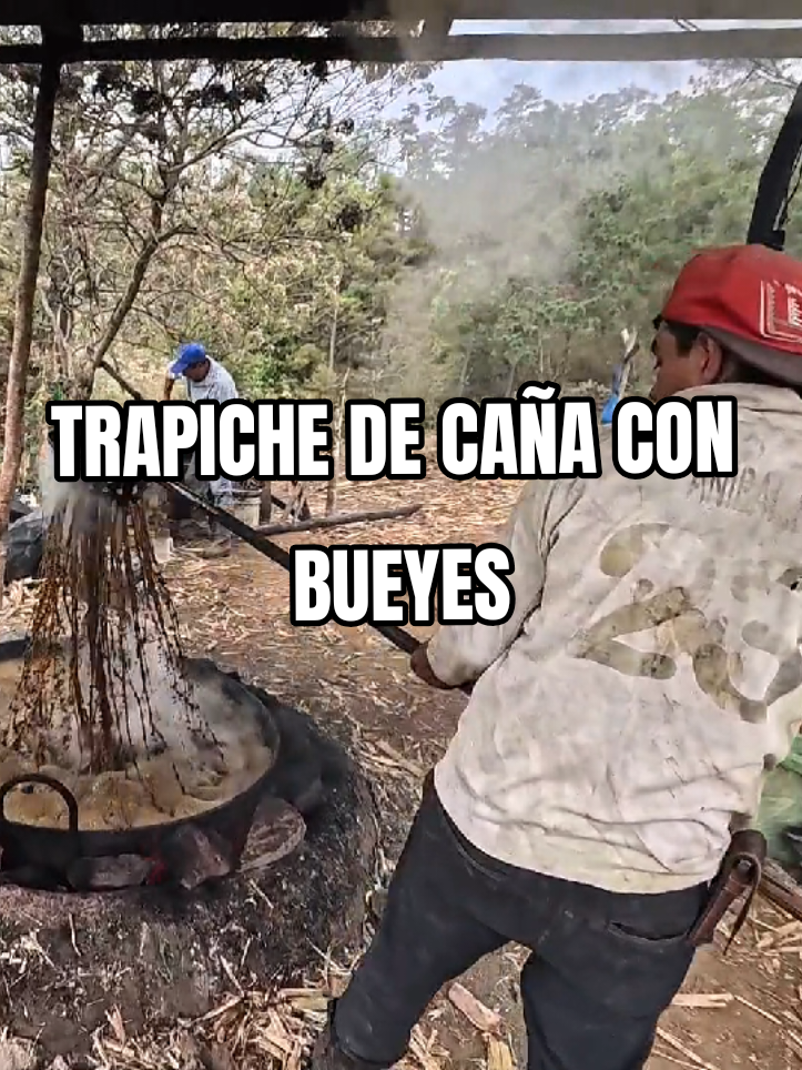 @Julio Chavarr&iacute;a