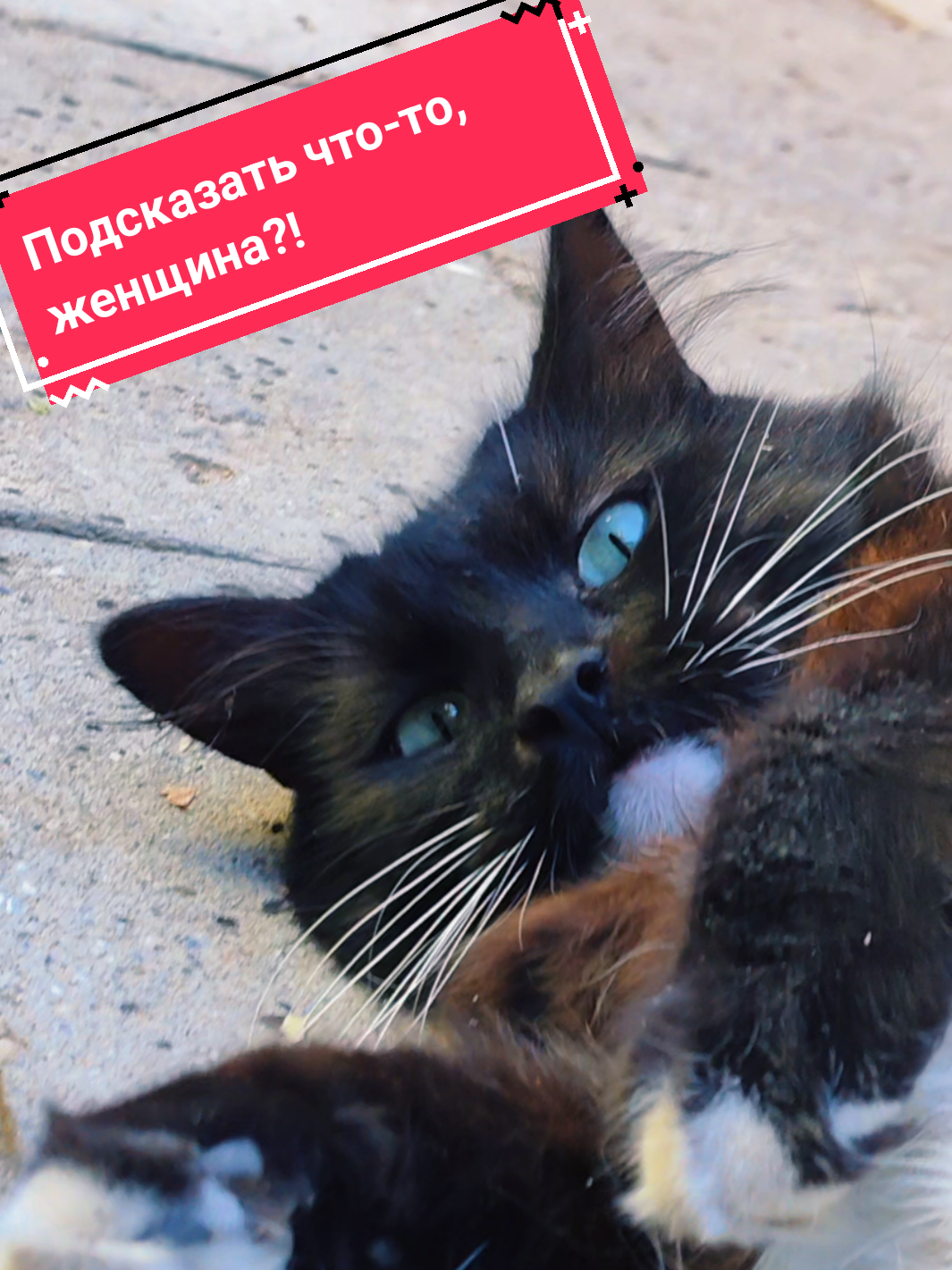 @Натали Граждан