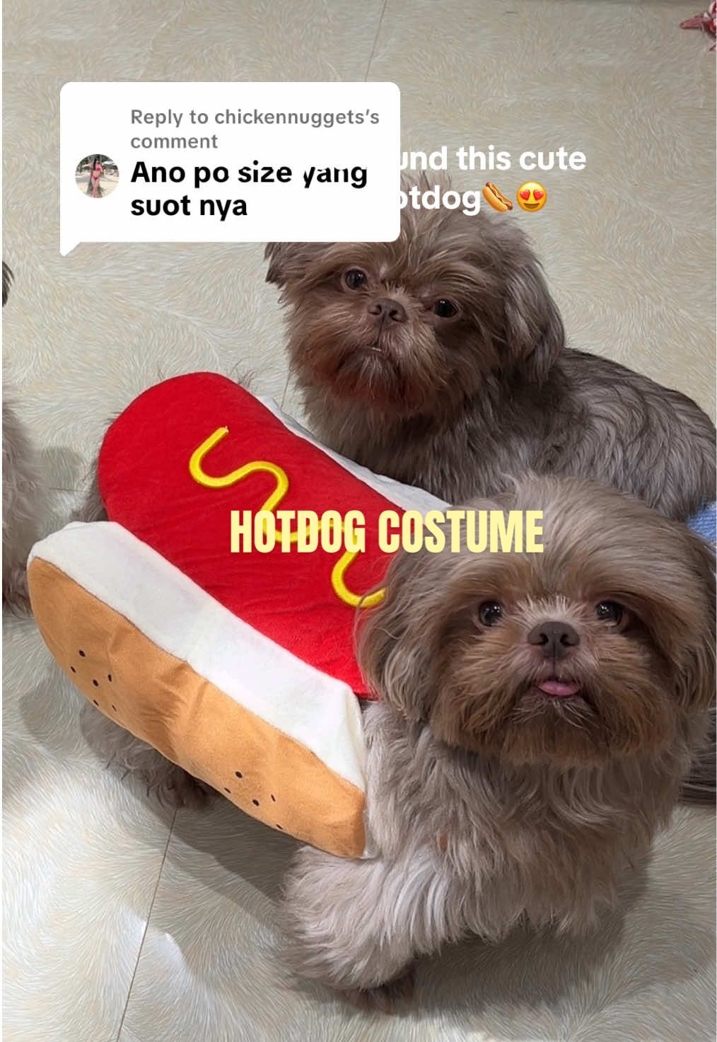 @Bellamy&Pawmily