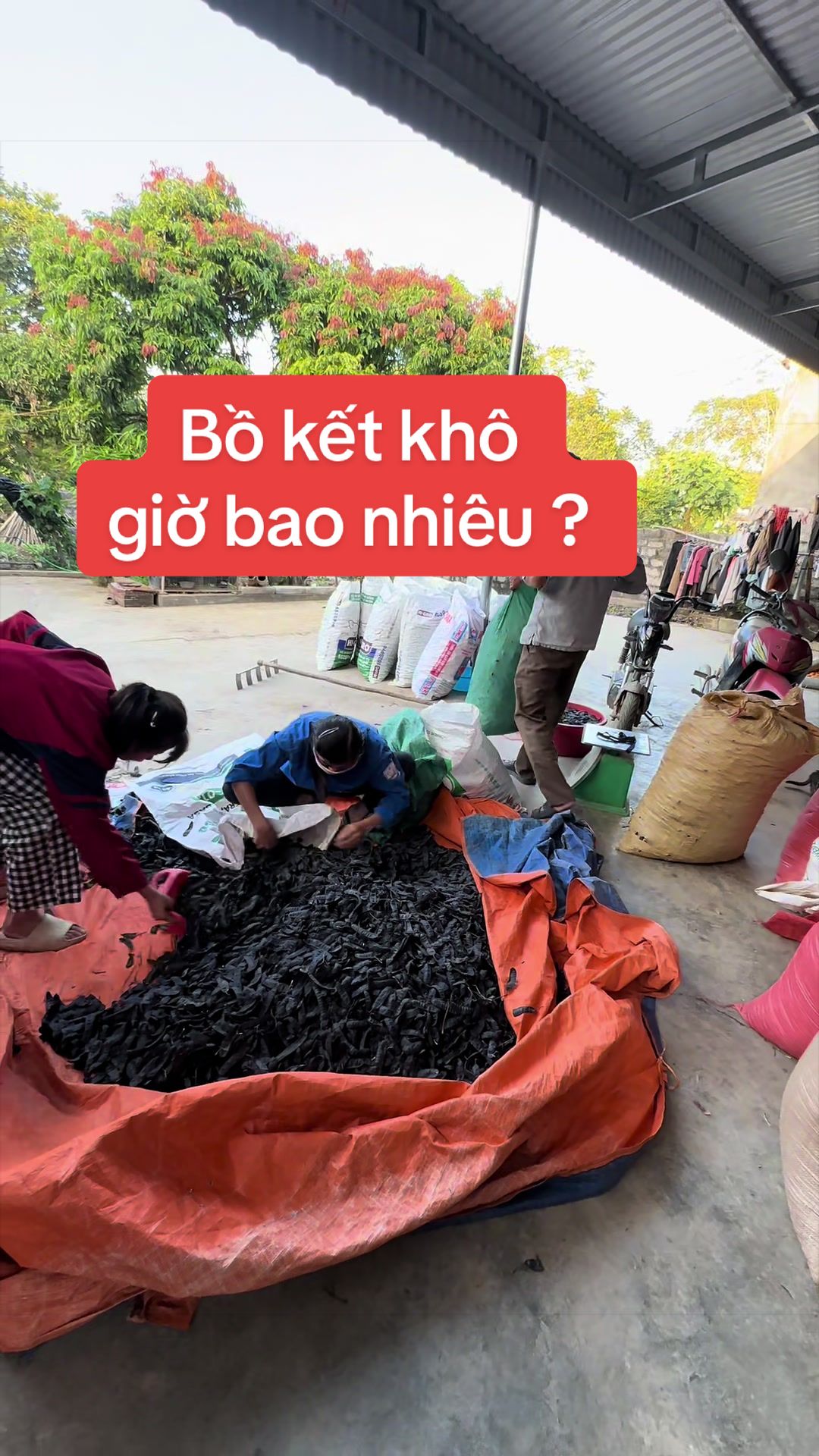 @Nh&agrave; Vườn Vũ Mai