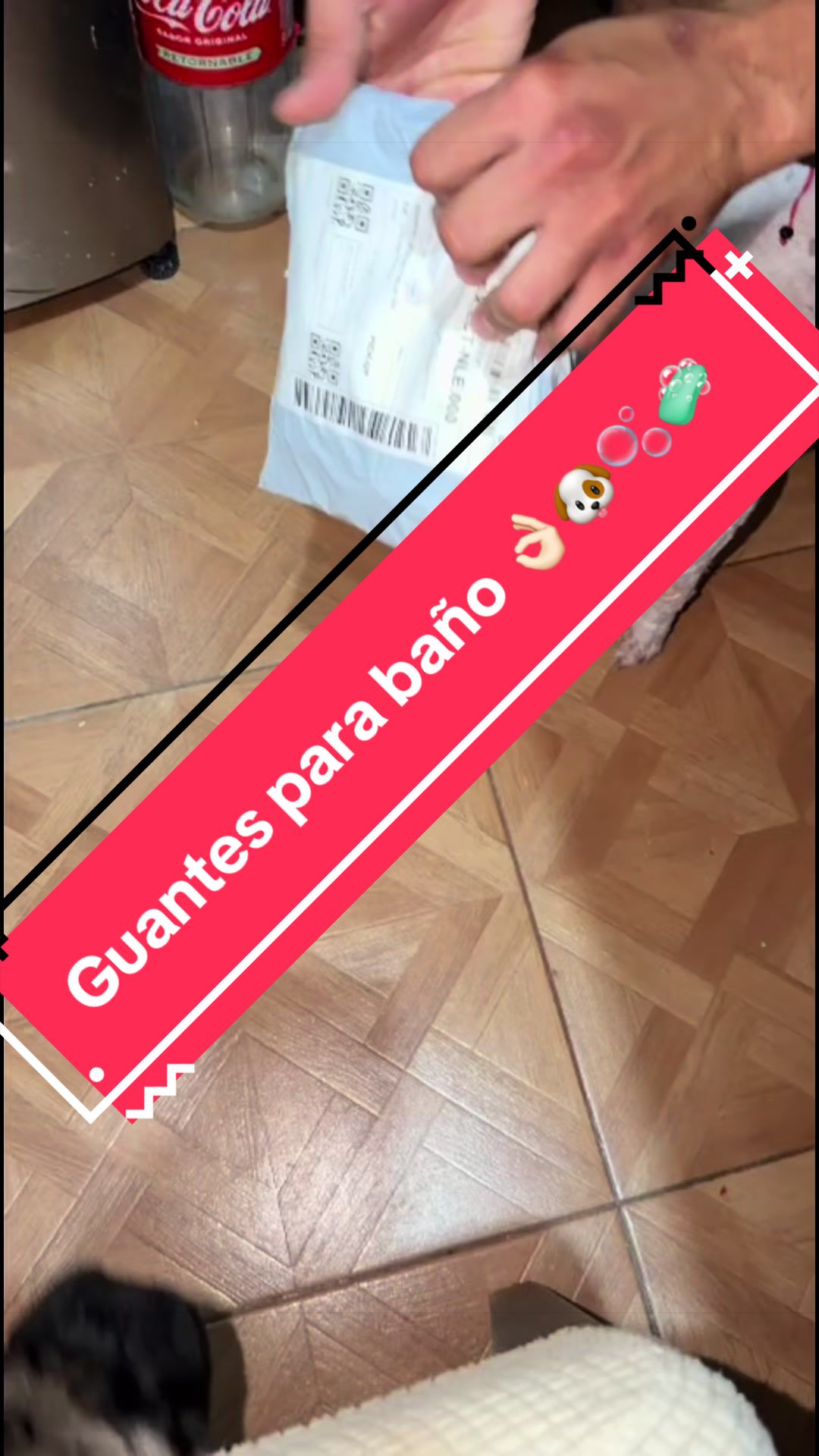 @Pugs en acción 🐶