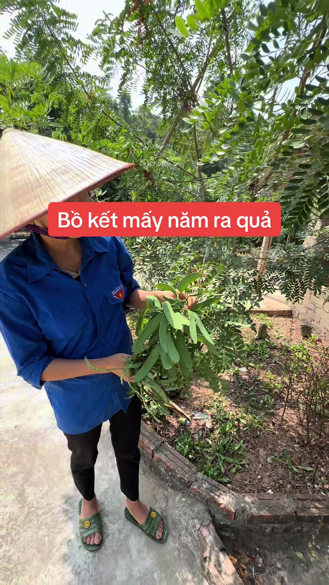 @Nhà Vườn Vũ Mai