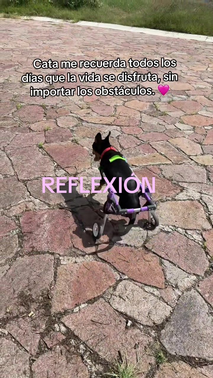@Gabitacute