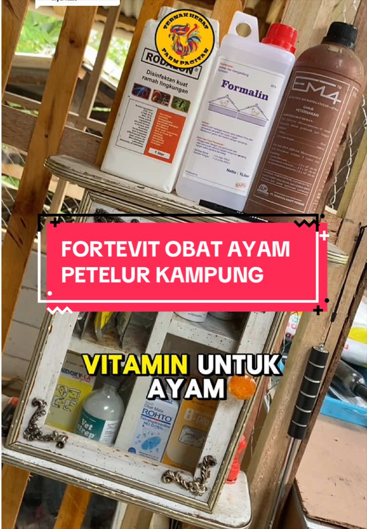 @TernakHebat
