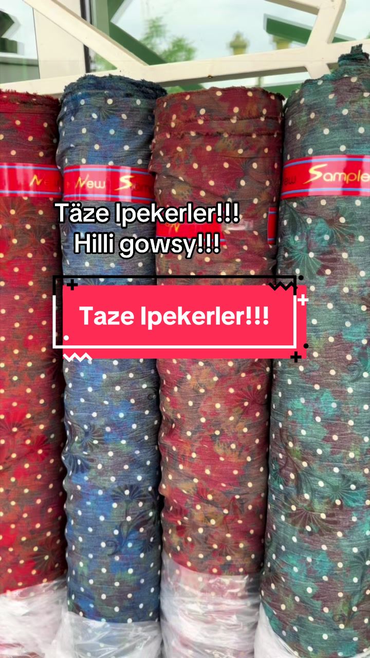 @Birinji el Optam Stapyllar1