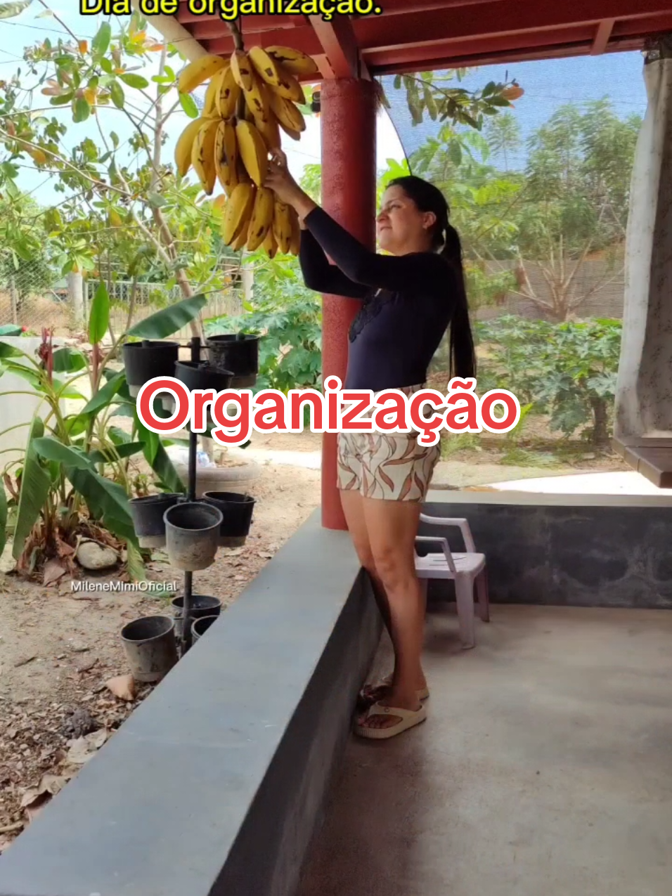 @Milene Mimi oficial