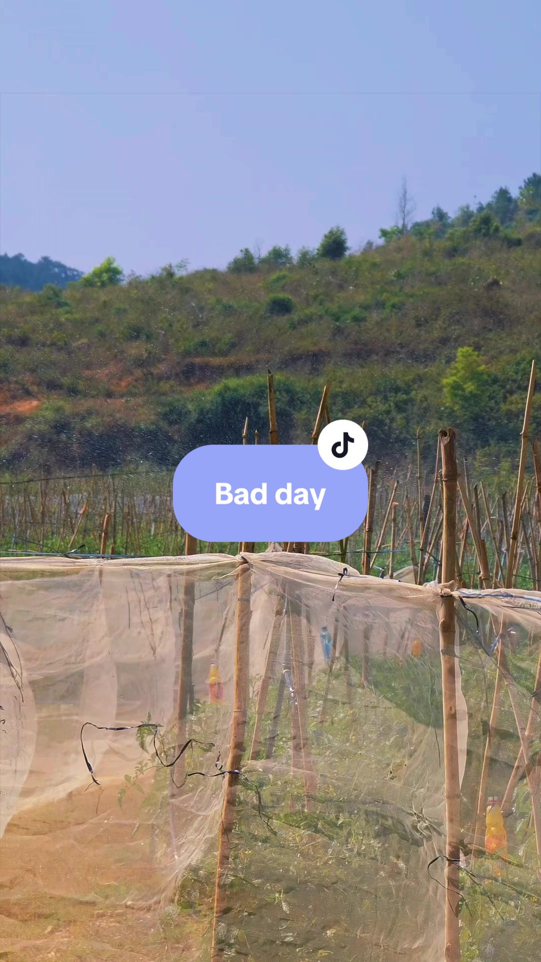 @HAI DA LAT