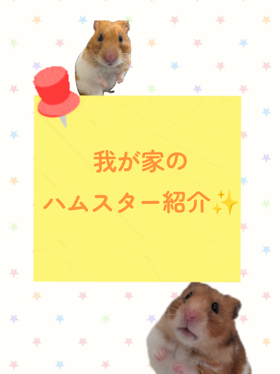 @たぴと仲間たち