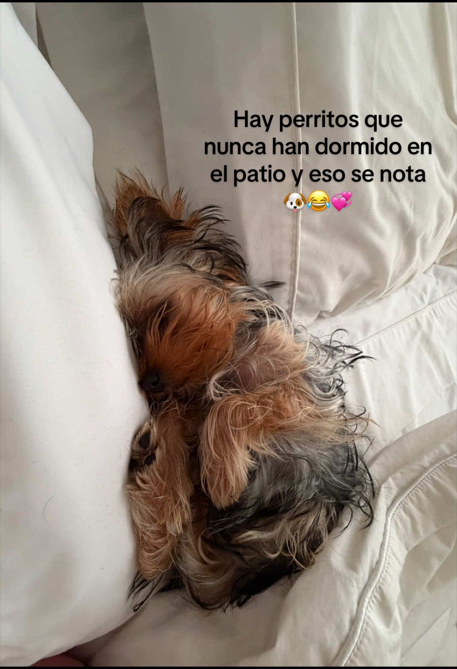 @Pam Rocha