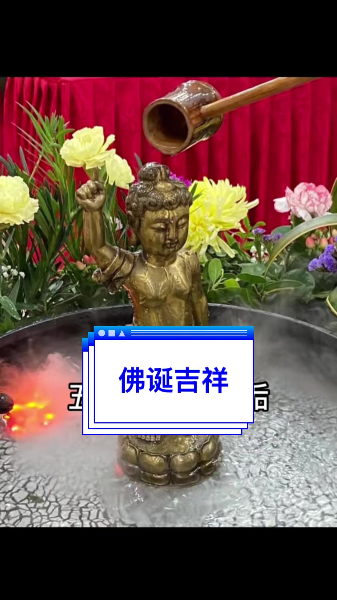 @净心