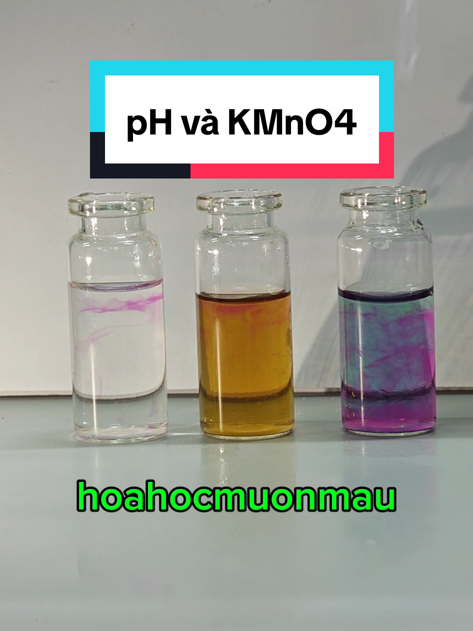 @hoahocmuonmau
