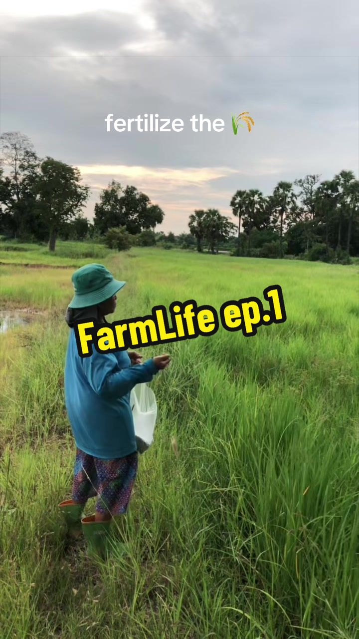 @🌿เจ๊ต่าย ขายผักป่าผักบ้าน🌿
