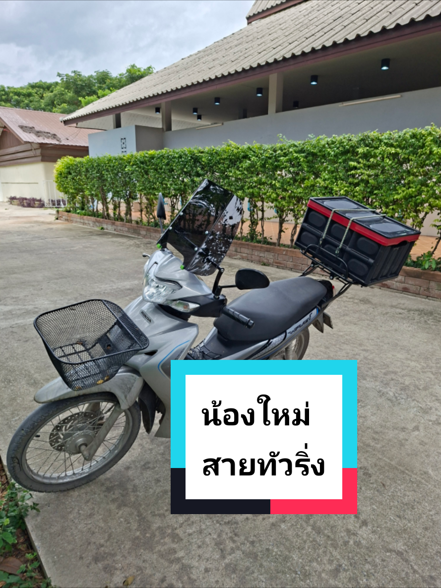 @ปุ๊ บูมเมอแรง Pook Boomerang