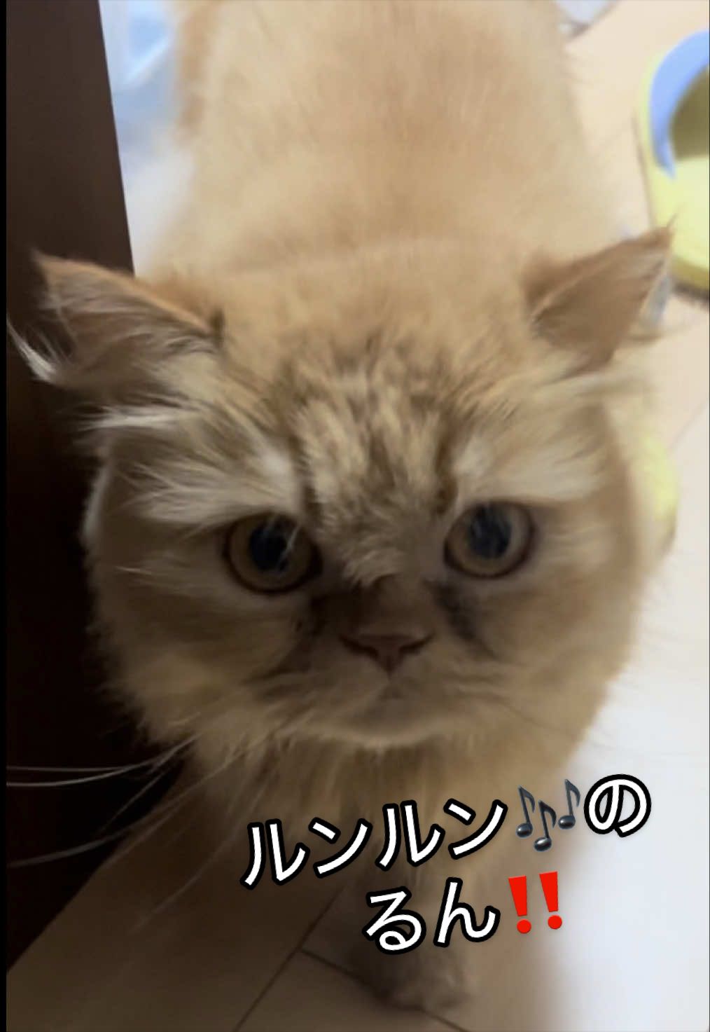 @聴々物語PROJECT
