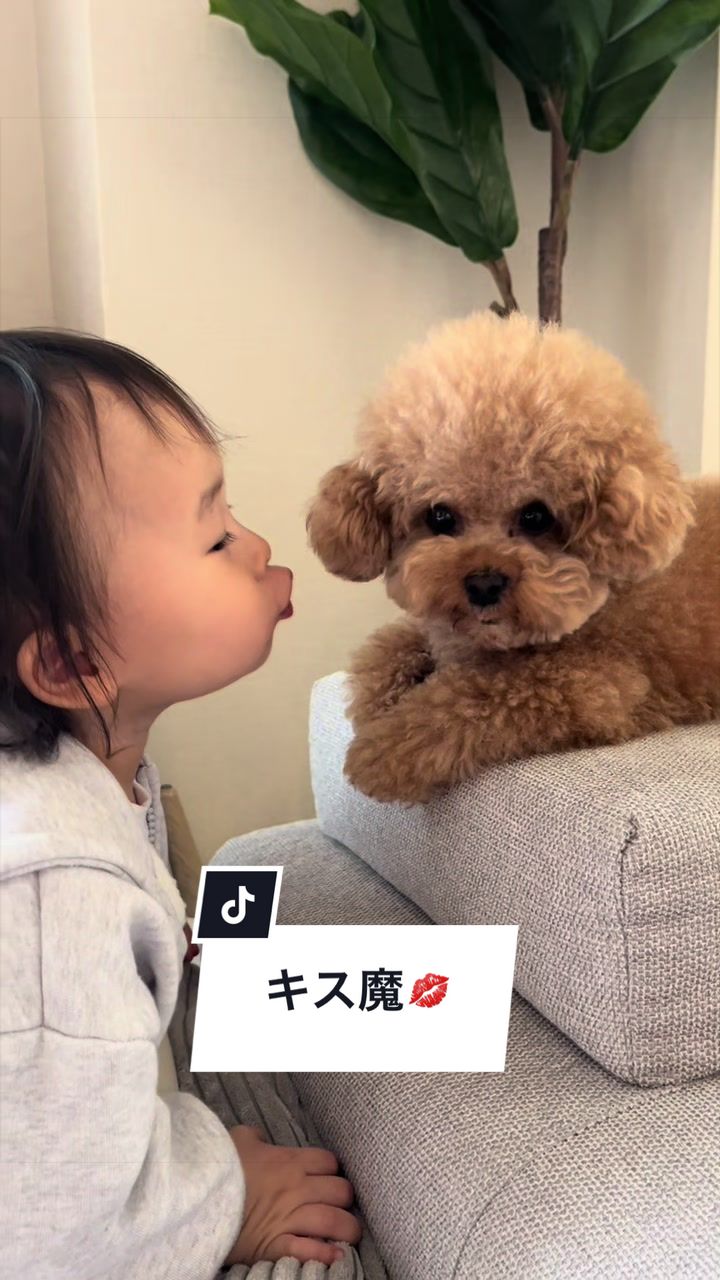 @しゃこたん犬ぽこ🐶🐰with子分