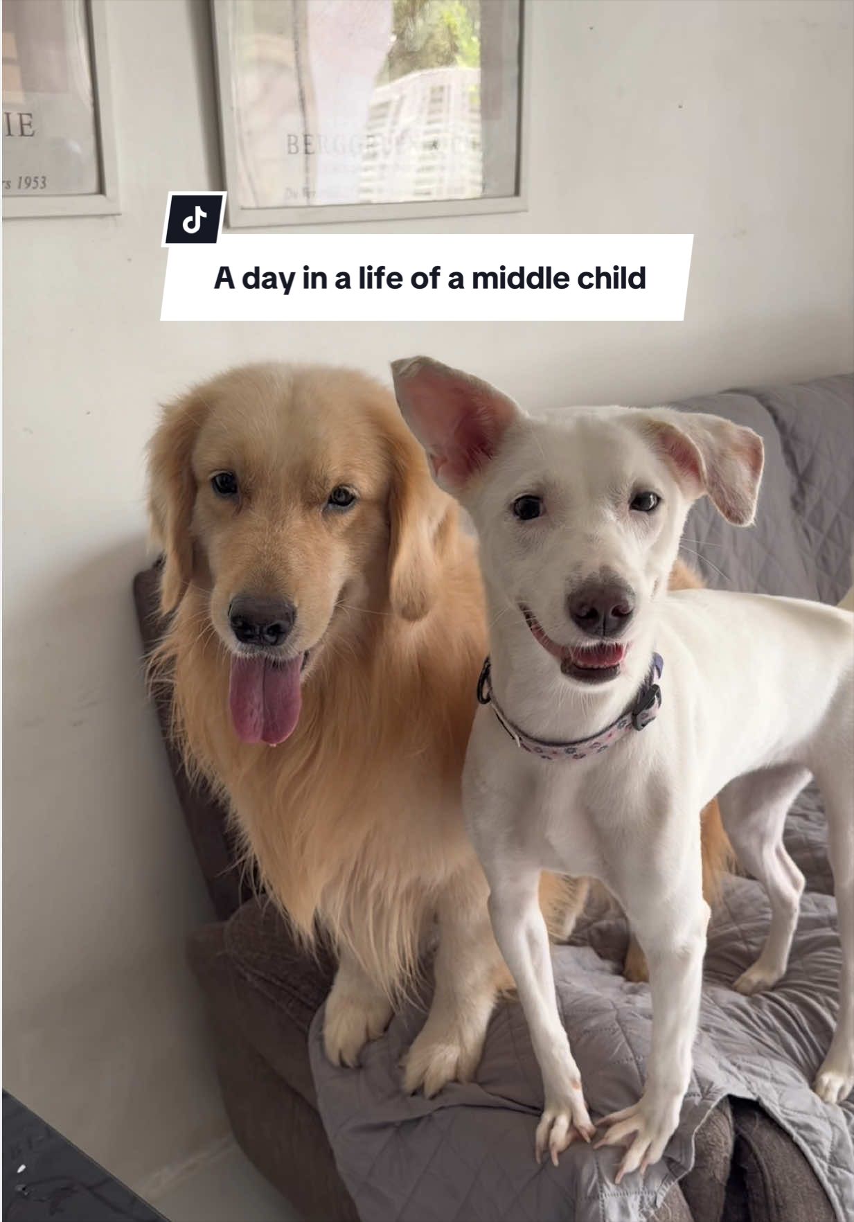 @cammydudels