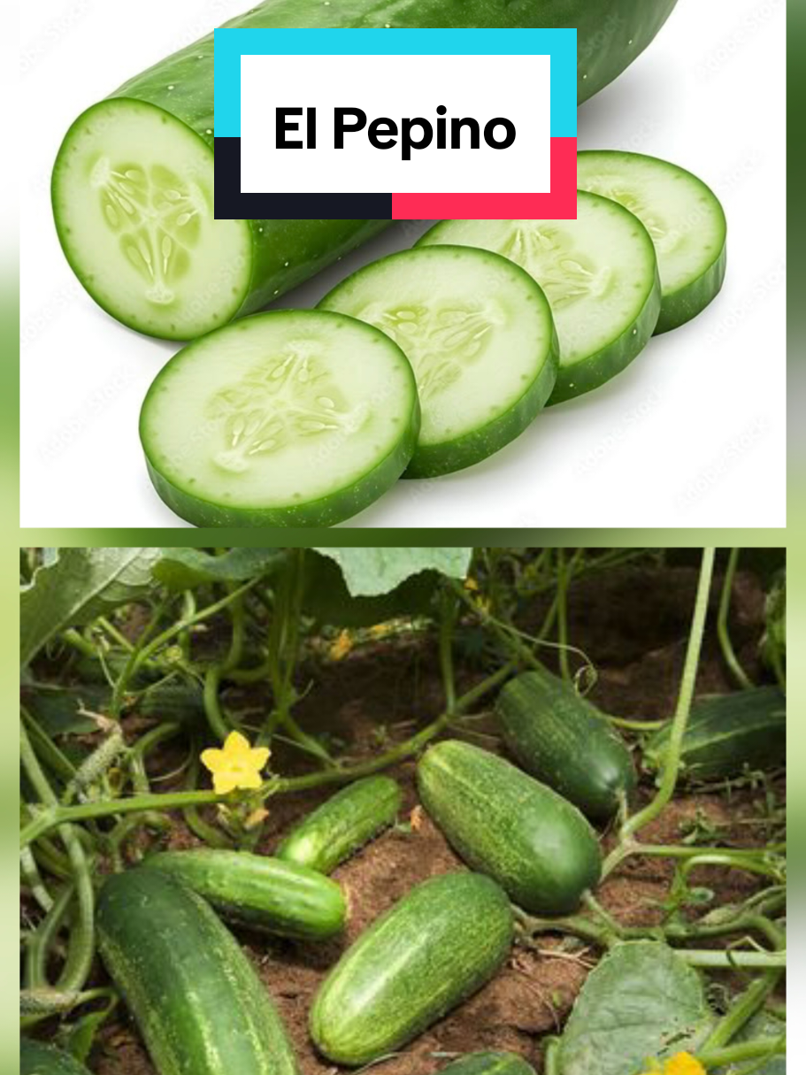 @𝐉𝐨𝐬𝐲