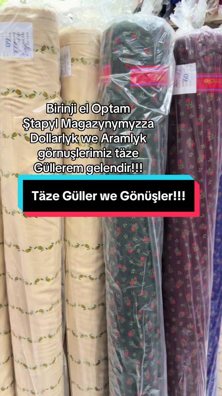 @Birinji el Optam Stapyllar1