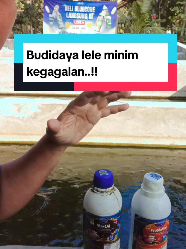@Kang_Ewi