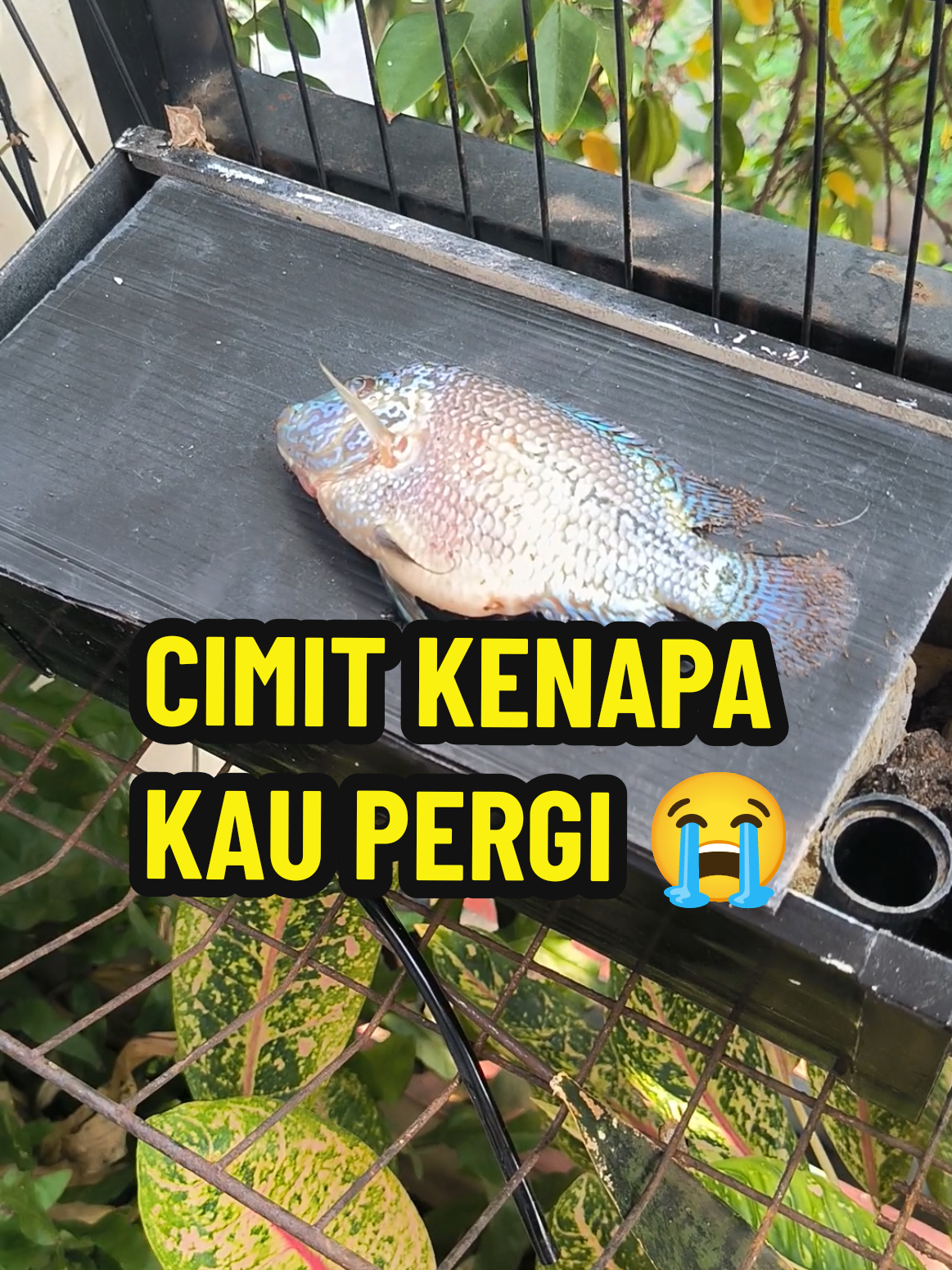 @Punya Namita