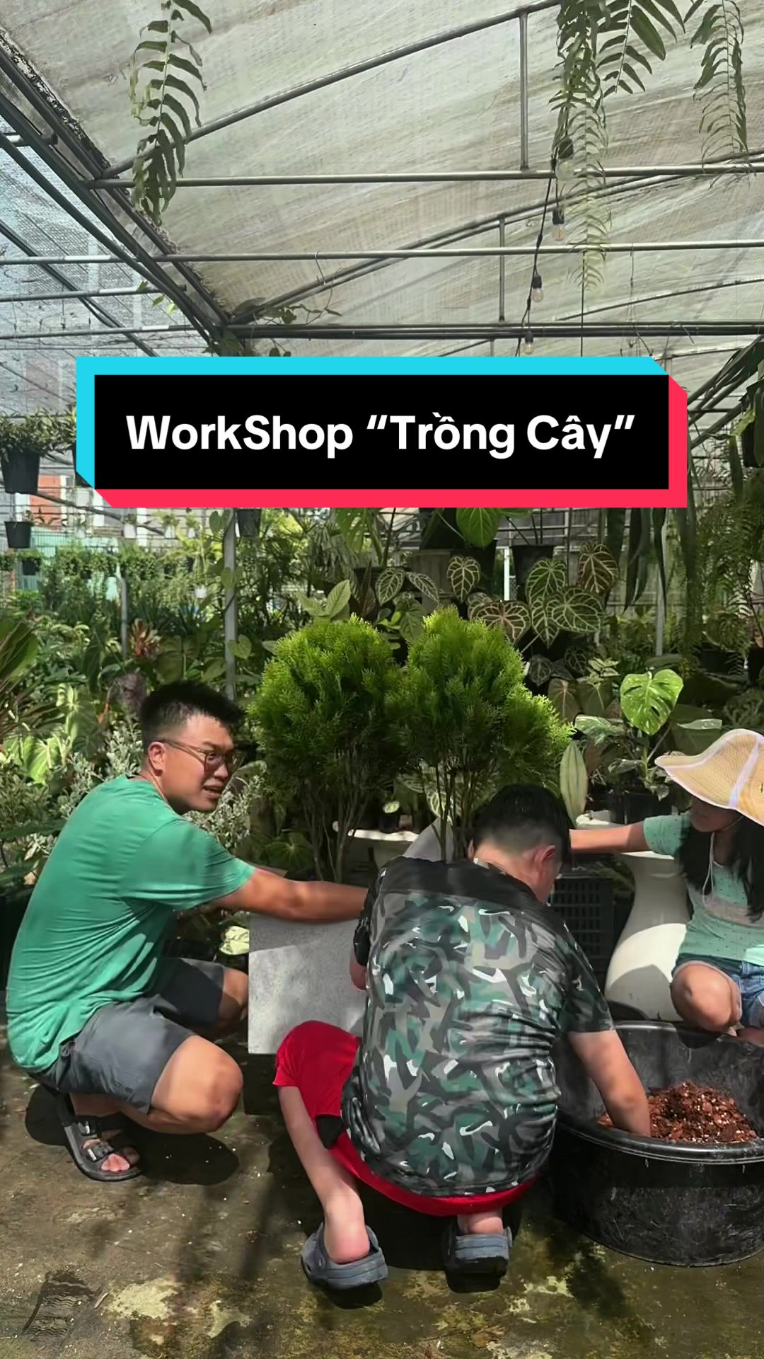 @Don&rsquo;s Garden