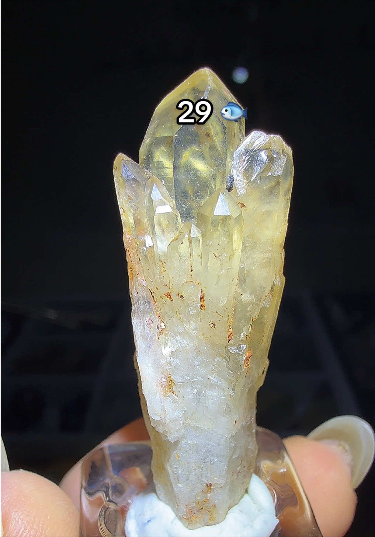 @Halen Crystal