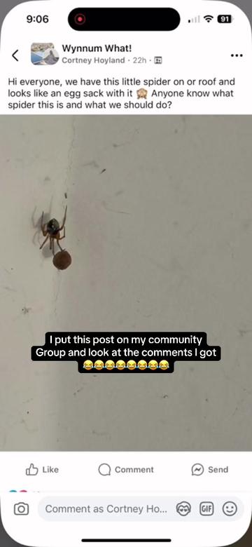 @CortsHoyland