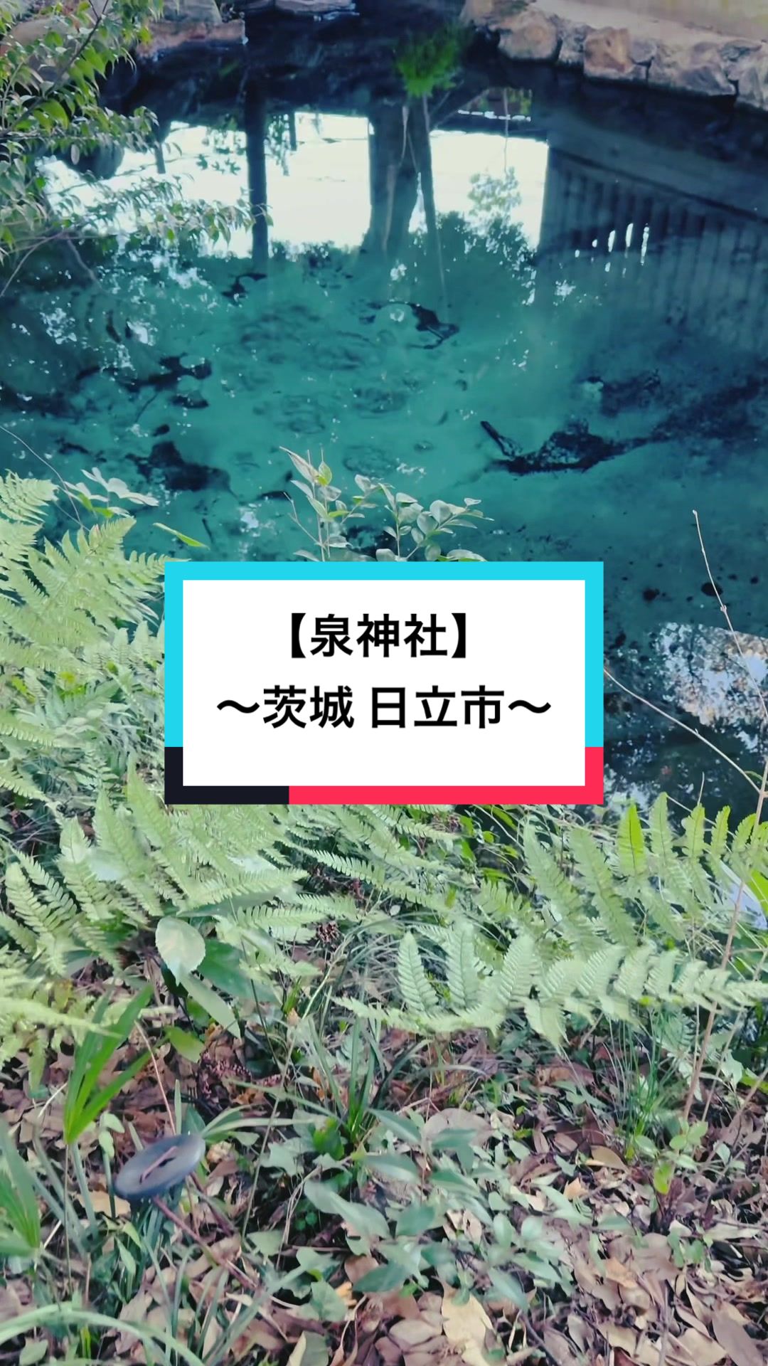 @開運きむにぃ