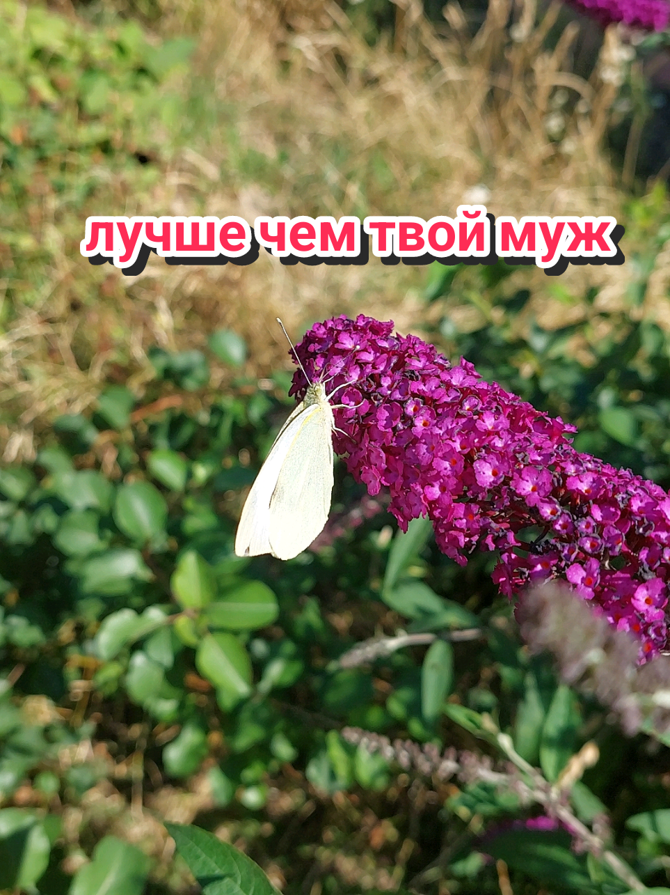 @Рыся✔️🇧🇾