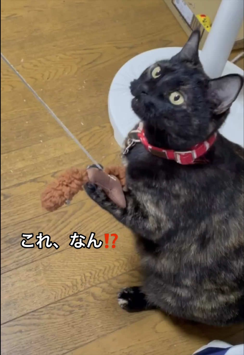 @聴々物語PROJECT